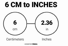 Image result for What Does 6 Inches Look Like