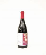 Image result for Lingua Franca Pinot Noir Ostia Tempore