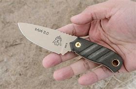 Image result for 3 Inch Fixed Blade EDC Knife
