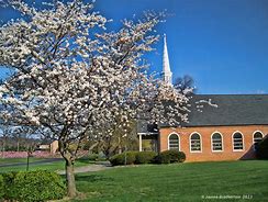 Image result for Country Church in Spring