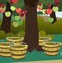 Image result for Delicious Apple Trees