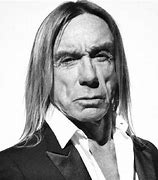 Image result for iggy pop