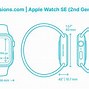 Image result for Apple Watch SE 40 vs 45 mm