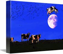 Image result for Cow and the Moon Phone Case