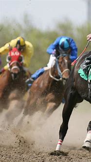 Image result for Horse Racing Wallpaper for Computer