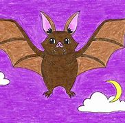 Image result for Bat Cartoon N
