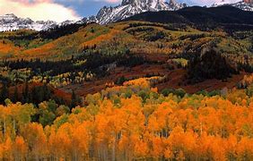 Image result for Fall Mountain Wallpaper iPhone