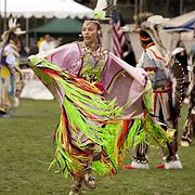 Image result for Native Americans in the United States