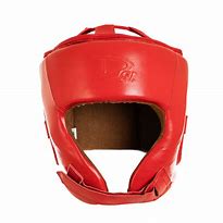 Image result for Sambo Fighting Gear