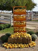Image result for Farmers Market Display for Small Items