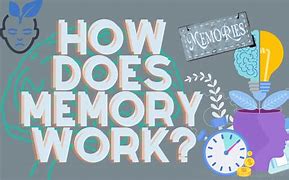 Image result for Chart How Memory Works