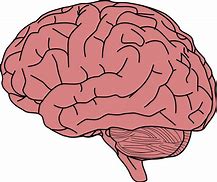 Image result for Cute Brain