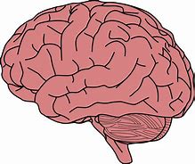 Image result for Big Head Small Brain
