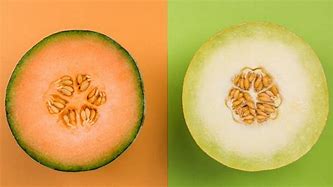 Image result for Honeydew Melon and Cantaloupe