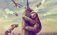 Image result for Animated Sloth Wallpaper