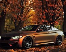Image result for BMW M4 Black Fall Leaves
