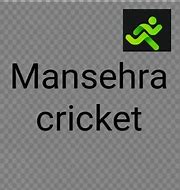 Image result for Cricket Match Bat