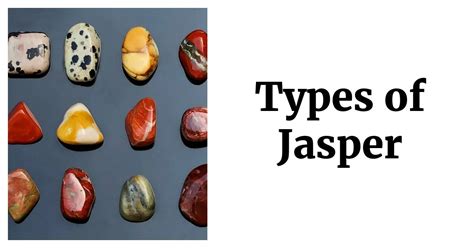 Image result for Flutter vs Python vs Rust