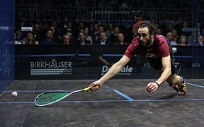 Image result for Squash Human Body