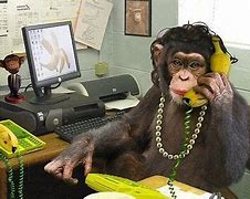 Image result for Monkey Banana Phone