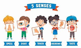 Image result for Images of Five Senses