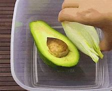 Image result for Avocado Picking Bags