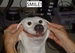 Image result for Smiling Face Meme