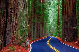 Image result for 8201 Old Redwood Hwy., Cotati, CA 94931 United States