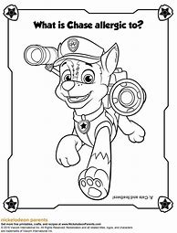 Image result for PAW Patrol Memory Match Game