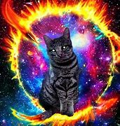 Image result for Cute Galaxy Cat