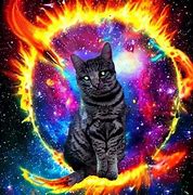 Image result for Fire Galaxy Cat Art