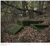 Image result for co_oznacza_zeschdorf