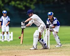 Image result for Playing Cricket Activity Pictures