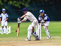 Image result for Picture of Playing Cricket