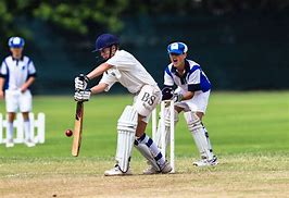 Image result for Cricket Activities for Primary School