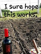 Image result for weekend memes wine