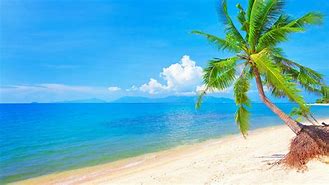 Image result for Beach 1366 X 768