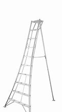 Image result for Adjustable Orchard Ladder