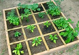 Image result for Material for Making Square Foot Garden