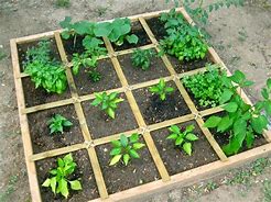 Image result for Square Foot Garden Plots