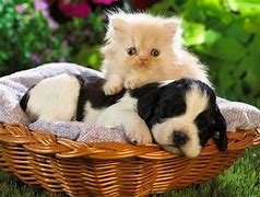 Image result for Buddies Wallpaper