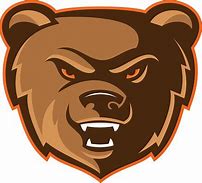 Image result for Bear Mascot Logo
