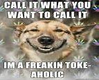 Image result for Dog Calling Phone Meme