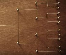 Image result for Basic Organizational Structure