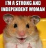 Image result for Lil Hamster Meme
