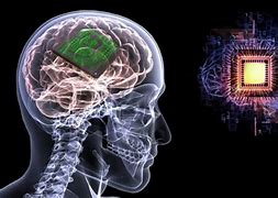 Image result for Super Smart Brain