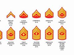 Image result for USMC Marine Corps Enlisted Ranks