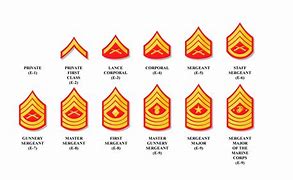 Image result for Marine Cpl Rank Insignia