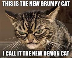 Image result for Demon Cat Meme