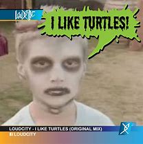 Image result for Air Force Ninja Turtle Meme